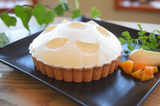 牧場の雪様☆確認ページ 北海道ボールパークFビレッジ「F VILLAGE Snow Park」チケット販売中